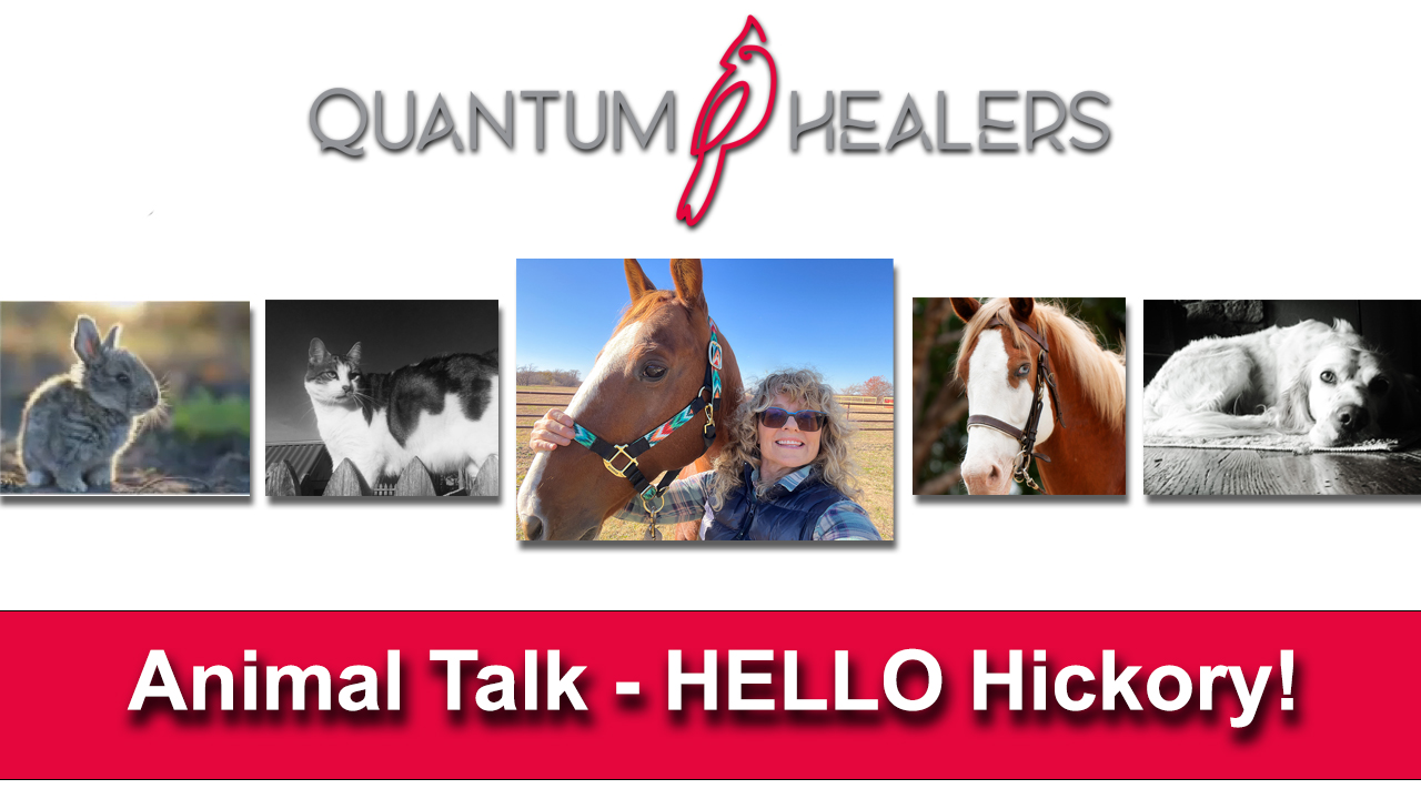 Animal Talk Hello Hickory!